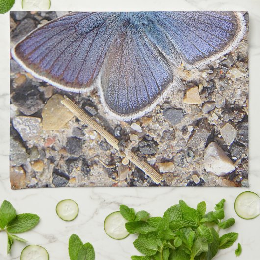 Geschirrtuch blauer Schmetterling (Gefaltet)