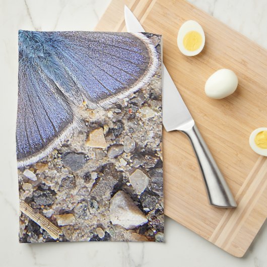 Geschirrtuch blauer Schmetterling (Viertel Falte)