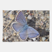 Geschirrtuch blauer Schmetterling (Horizontal)