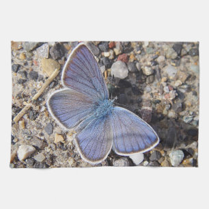 Geschirrtuch blauer Schmetterling
