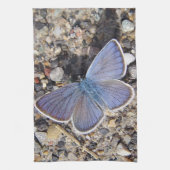 Geschirrtuch blauer Schmetterling (Vertikal)