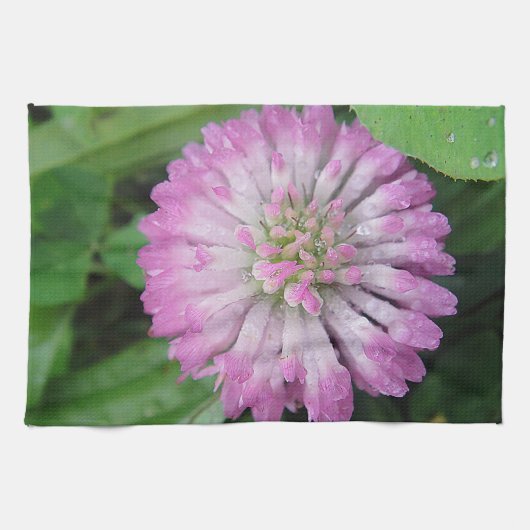 Geschirrtuch rosa Kleeblüte mit Wassertropfen (Horizontal)