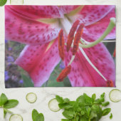 Geschirrtuch--Stargazers-2 Handtuch (Gefaltet)