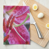 Geschirrtuch--Stargazers-2 Handtuch (Viertel Falte)