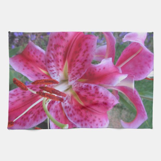 Geschirrtuch--Stargazers-2 Handtuch (Horizontal)