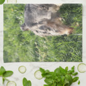 Geschirrtuch Yorks Terrier (Gefaltet)