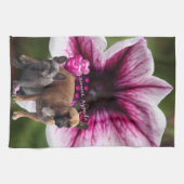 Geschirrtücher (Horizontal)