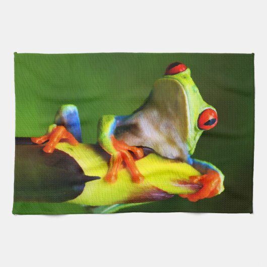 Geschirrtücher des Frosch-2 (Horizontal)