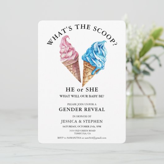 Geschlecht offen Rosa Blau Was ist der Schott Einladung (Stehend Vorderseite)