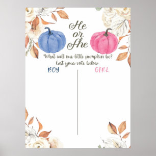 Geschlecht offenbart Blush Pink und Navy-Voting-Bo Poster
