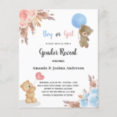 Geschlecht offenbart Pampas Teddy Bären Paar Haush Flyer (Vorne)