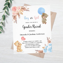 Geschlecht offenbart Pampas Teddy Bären Paar Haush Flyer