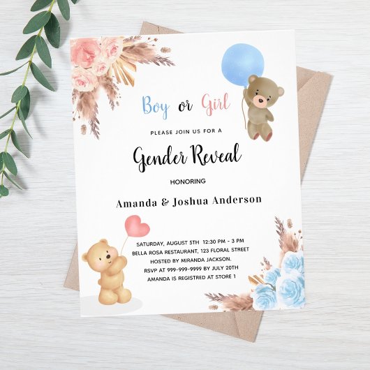 Geschlecht offenbart Pampas Teddy Bären Paar Haush Flyer