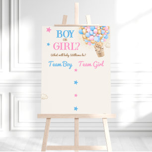 Geschlecht offenbart Teddy Bear Pink Blue Voting S Poster