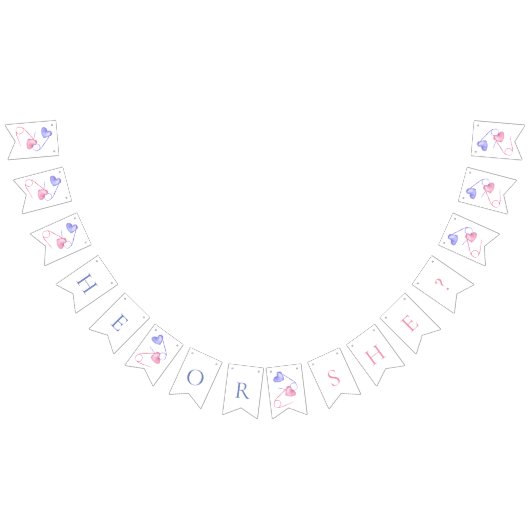 Geschlecht zeigt, dass er oder sie rosa blaue Baby Wimpelkette (Alle)