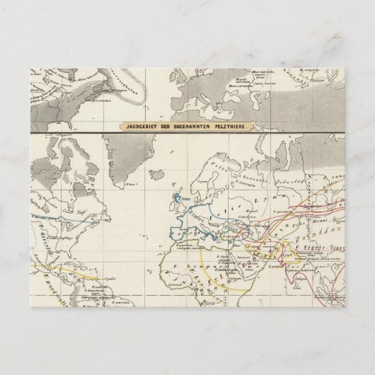 Geschlechterverteilung Postkarte (Vorderseite)