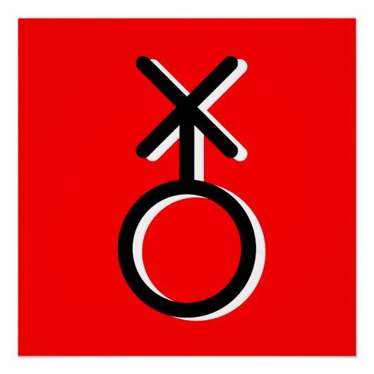 Geschlechtsidentität Poster (Vorderseite)