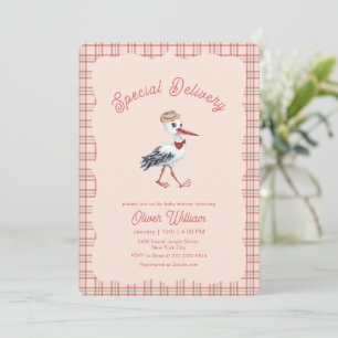 Geschlechtsneutrale Vintage-Gingham-Storch-Baby-Pa Einladung