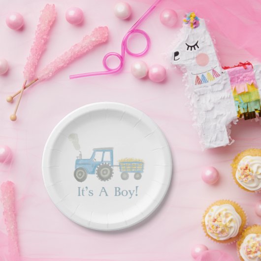 Geschlechtsplatte Pappteller (Party)