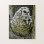 Geschlechtsverkehr Puzzle (Vertikal)