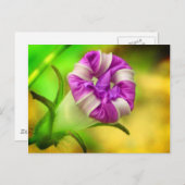 Geschlossen Postkarte (Vorne/Hinten)