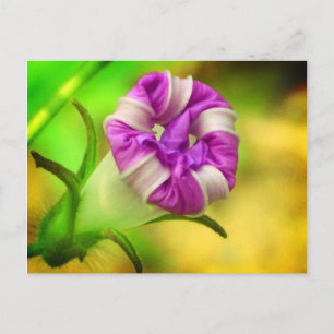 Geschlossen Postkarte