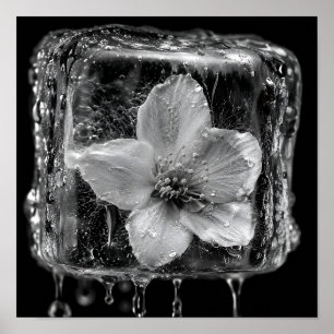 Geschlossene Blume Schmelzendes Eis Poster
