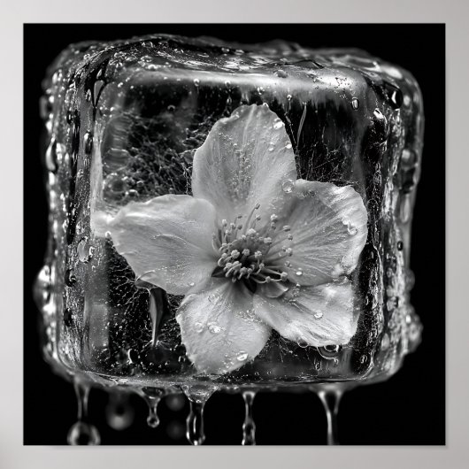 Geschlossene Blume Schmelzendes Eis Poster (Vorne)