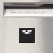 geschluckt 1 magnet (In Situ (Geschirrspüler))