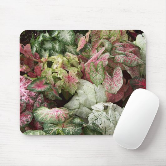 Geschmack der Tropen Mousepad (Mit Mouse)