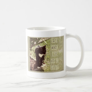 Geschmack des Lebens Niedlich Kat-Foto Inspiration Kaffeetasse