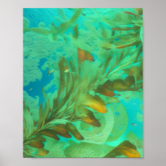 Geschmack des Meeres Poster