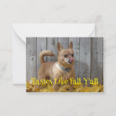 Geschmäcker wie Herbst Herbst Chihuahua Mitteilungskarte (Vorderseite)