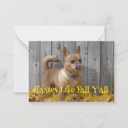Geschmäcker wie Herbst Herbst Chihuahua Mitteilungskarte (Vorderseite)