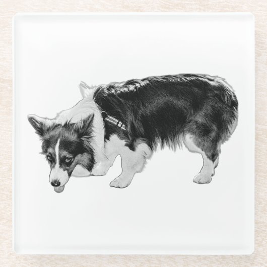 Geschmackstest Glasuntersetzer (Vorderseite)