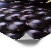 Geschmackvolle Sommerfrüchte auf einem Holztisch Poster (Ecke)