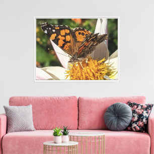Geschmälter Schmetterling auf weißer Dahlie Leinwanddruck