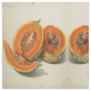 Geschnittenes Kantalupenmelone-Illustrationsgewebe Stoff