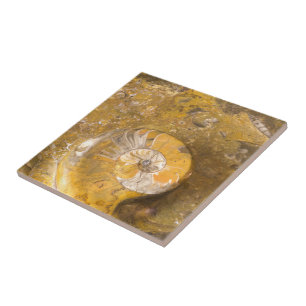 Geschnitzte Schüssel hergestellt von den Fossilie Fliese