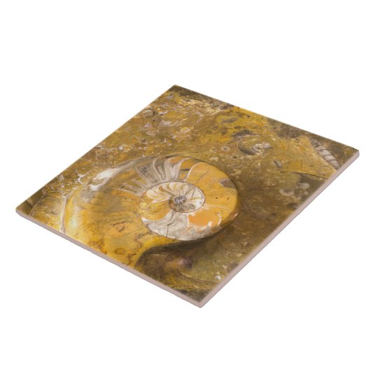 Geschnitzte Schüssel hergestellt von den Fossilien Fliese (Seite)