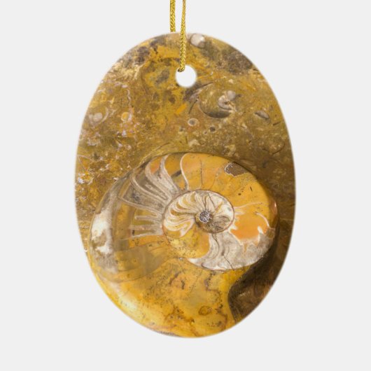 Geschnitzte Schüssel hergestellt von den Fossilien Keramik Ornament (Hinten)