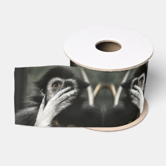Geschockt Ripsband (Spule)