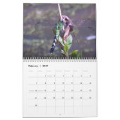 Geschöpfe 2014 kalender (Feb 2027)