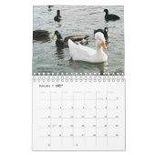 Geschöpfe im Natur-Kalender Kalender (Jan 2027)