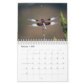 Geschöpfe im Natur-Kalender Kalender (Feb 2027)