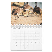 Geschöpfe im Natur-Kalender Kalender (Mär 2027)