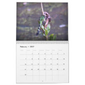 Geschöpfe Kalender (Feb 2027)