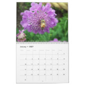 Geschöpfe Kalender (Jan 2027)