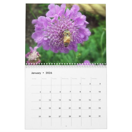 Geschöpfe Kalender (Jan 2026)