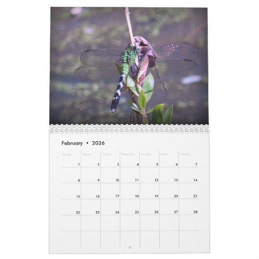 Geschöpfe Kalender (Feb 2026)